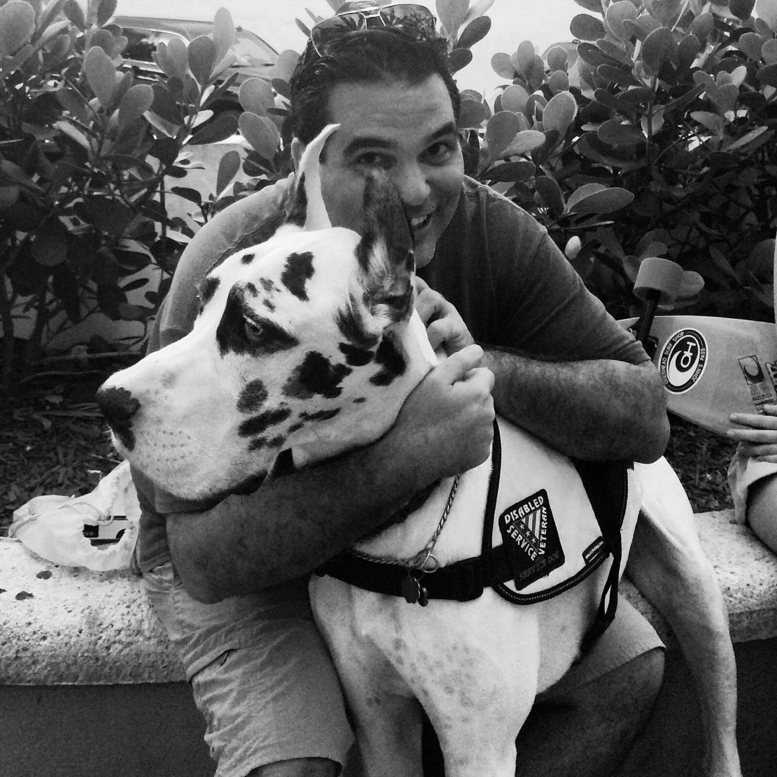 The Surprising Link Between Mono And Your Beloved Pet - epqqla7
